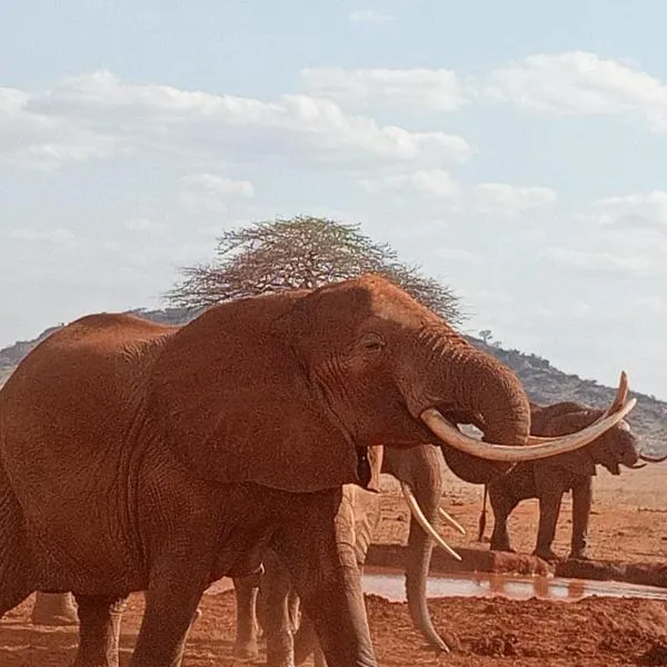 Tausa Tsavo Eco Lodge, hotell sihtkohas Voi