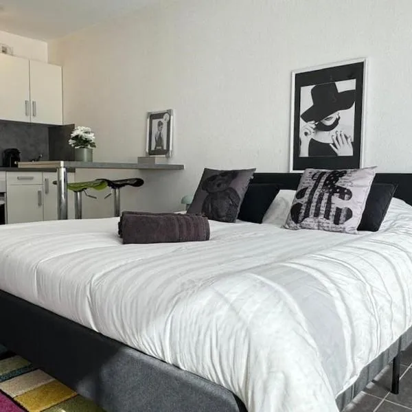 Appartement Frontalier 1, hotel v destinaci Saint-Julien-en-Genevois