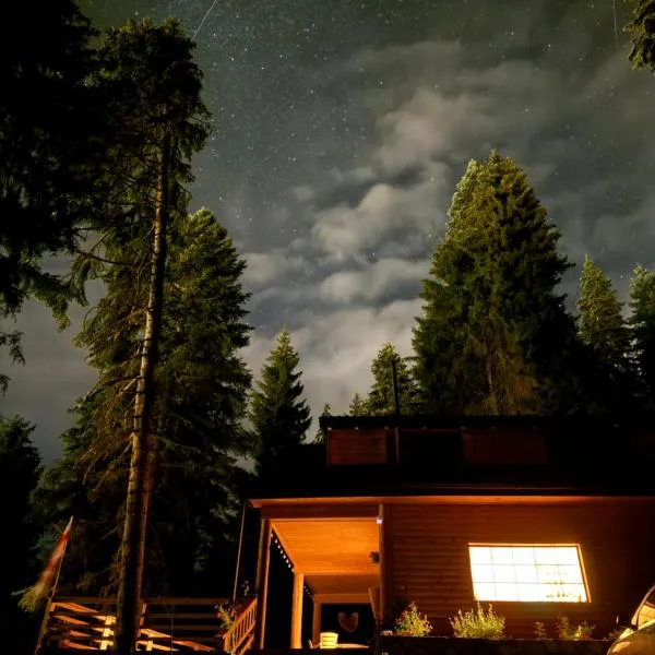 In The Forest, hotel v destinaci Mestia