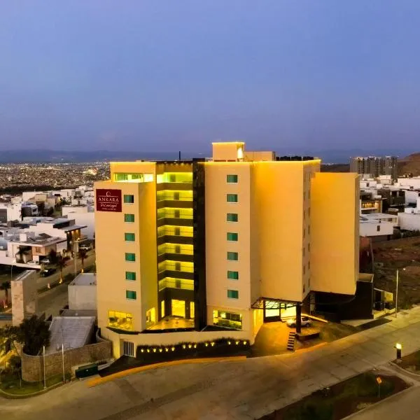 Ankara Pedregal Centro de Convenciones, hotel v destinaci San Luis Potosí
