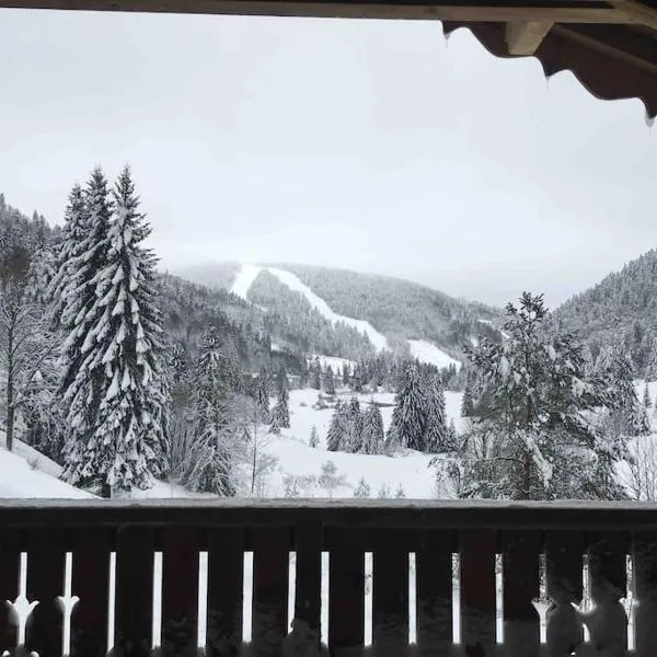 L'appart des familles sportives!, hotel en La Bresse