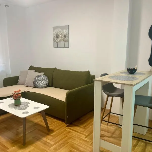 Tik-tak apartment, hotel v destinaci Petrovaradin