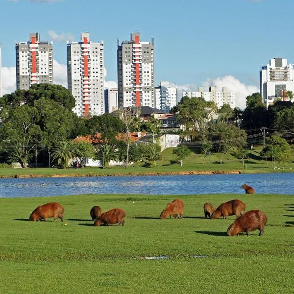 Ed. Vitoria | Bairro mais requisitado de Curitiba | Gonzaga Stays - Foto 3
