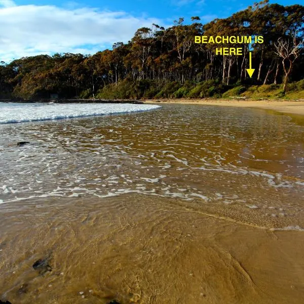 Beachgum, hotel in Sunshine Bay