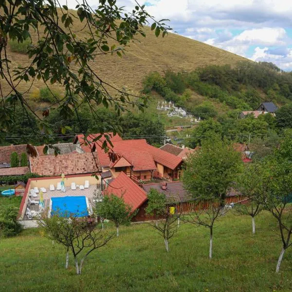 Marginimea Sibiului - Pensiunea Darian & David, hotel in Orlat