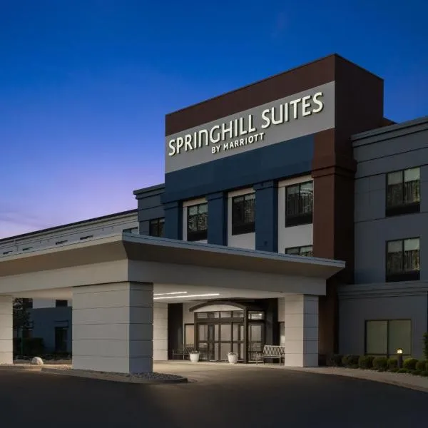 SpringHill Suites by Marriott Grand Rapids Airport Southeast, hotel in Cascade