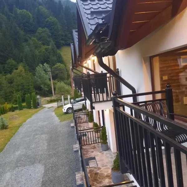 Apartamente Casa Albu, hotel in Statiunea Borsa