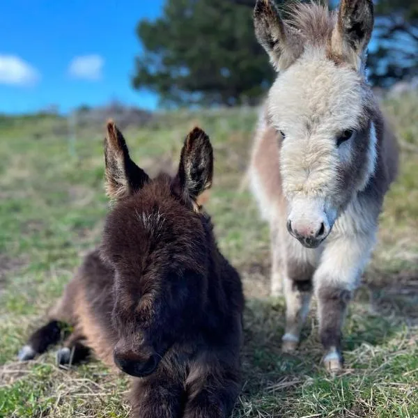 Mælstrøm End Eco Farmstay, hotel v destinaci Puponga