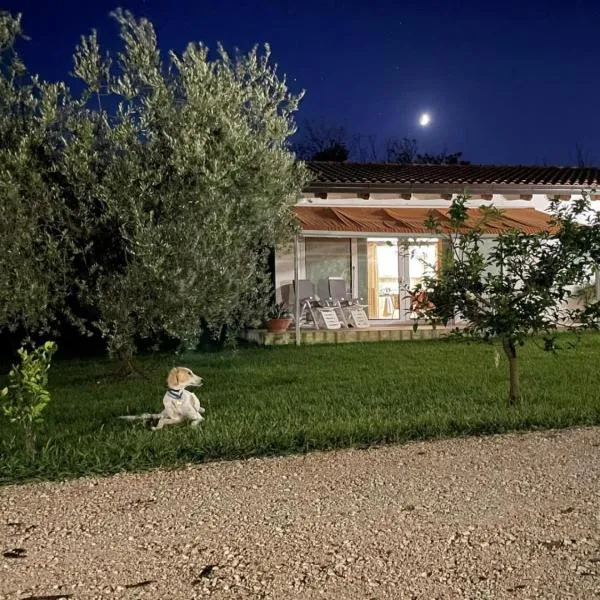 Villetta Bianca Pisticci-Matera, hotel in Pisticci