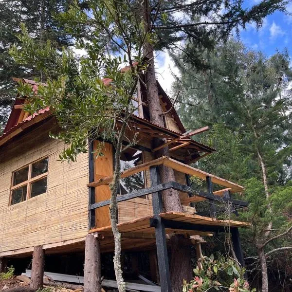 Cabañas Del Árbol n2, hotel v destinaci Tres Esquinas
