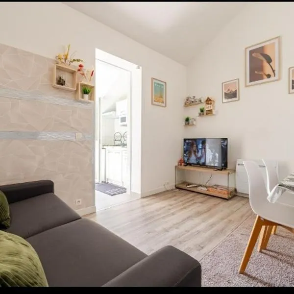 Appartement 2pièces paris Disney, hotel in Vaires-sur-Marne
