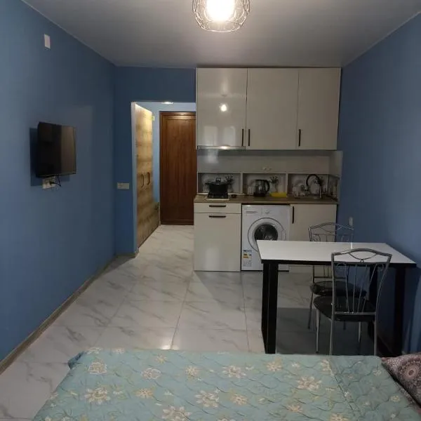 1 room studio guesthouse in Batumi, hotel in P'eria