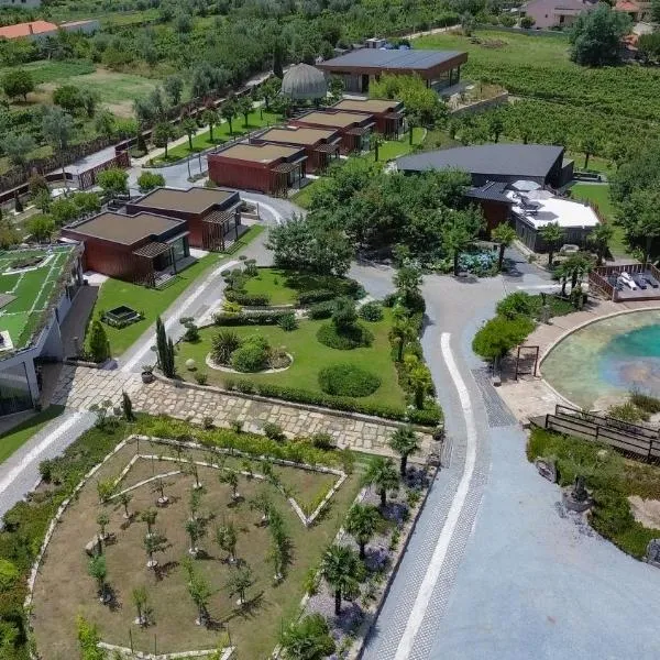 Pedra Aguda Spa, hotel in Fagilde