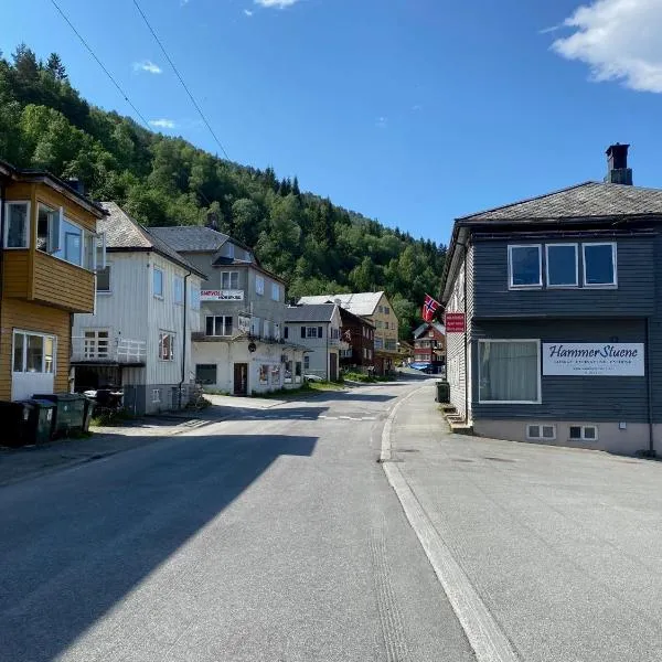 Hammerstuene mat - og gjestehus, hotel v destinaci Surnadal