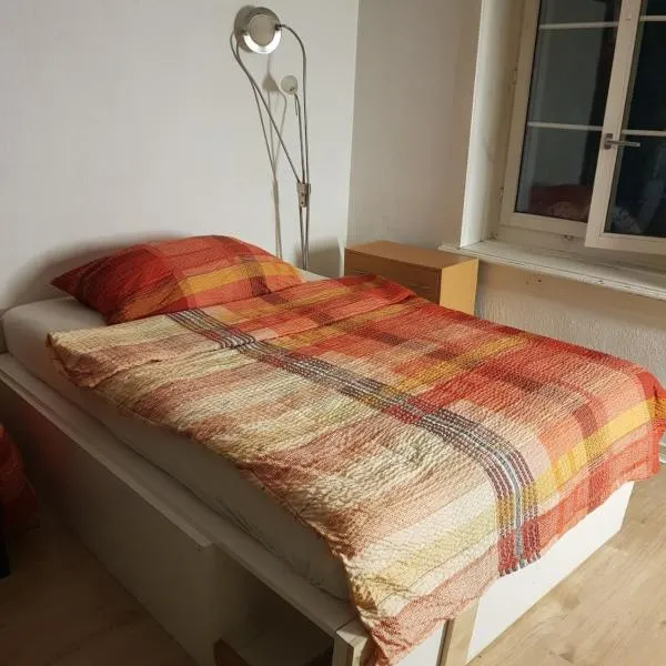 Men's Dormitory - Männerschlafsaal, hotel en Brüttisellen