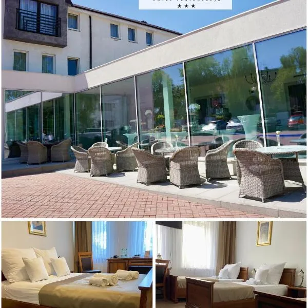 Hotel Constancja, hotel v destinácii Čenstochová