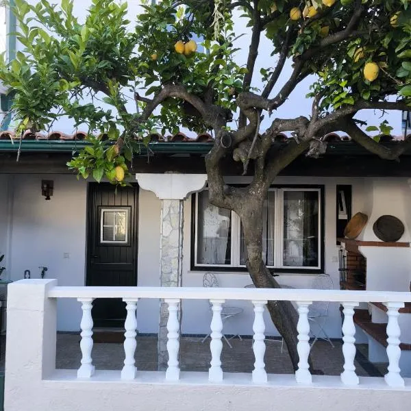 Casa do Limoeiro - Quartos, hotel in Golegã