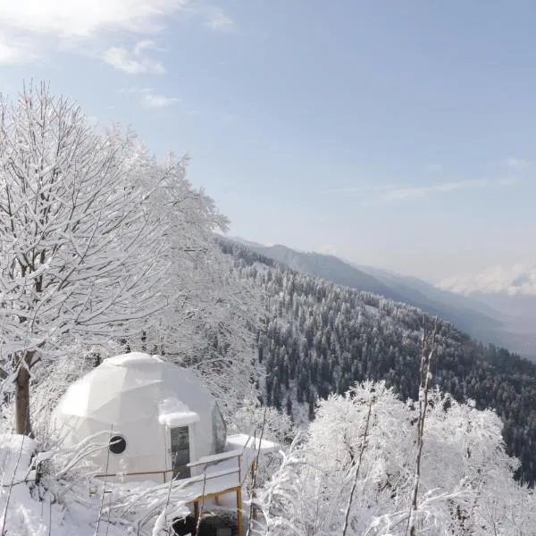 GlampEco Manali, hotel di Manāli