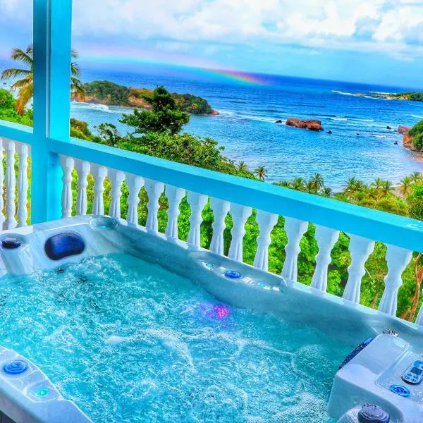 Blue Whale Villa - Penthouse, hotel v destinaci Calibishie