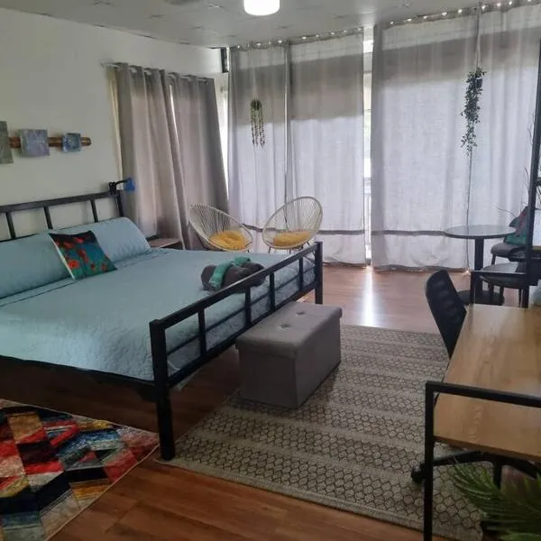 Cool Loft with King Bed 10 mins David 20 mins to Boquete, hotel in Dolega