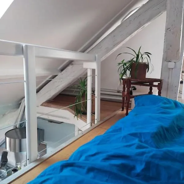 Studio sous les toits et mezzanine - Vincennes, hotel v destinaci Vincennes