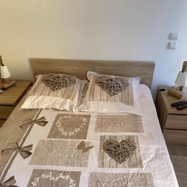 chambre 2 personnes Pinet, hotel v destinaci Pinet