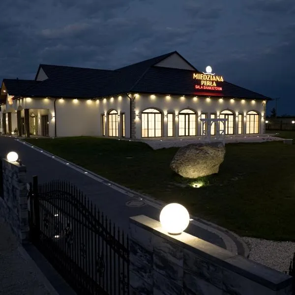 Pensjonat Miedziana Perła LUBIN, hotel v destinácii Lubin