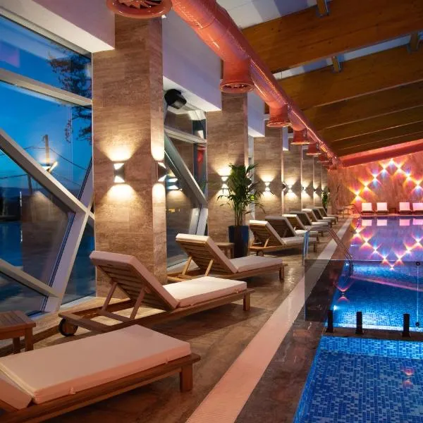 Hotel Borovi Forest Resort & Spa, hotel a Sjenica