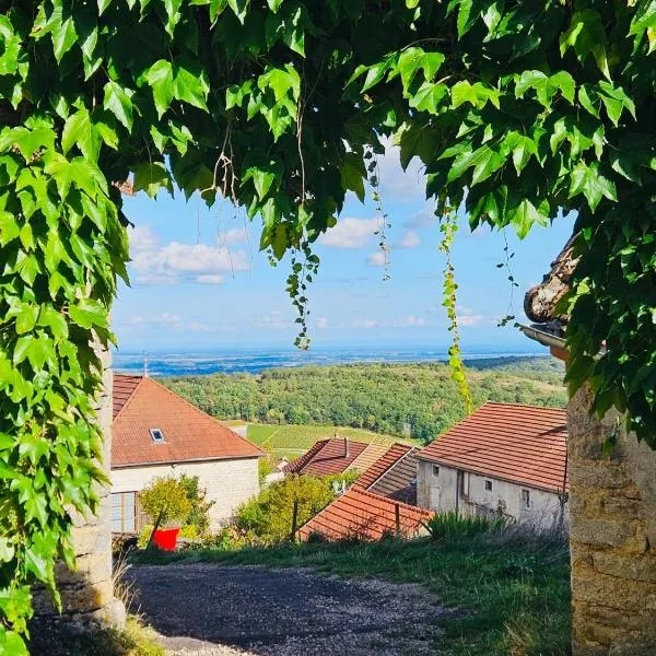 Maison unique avec vue sur les vignes, hotel in Baubigny