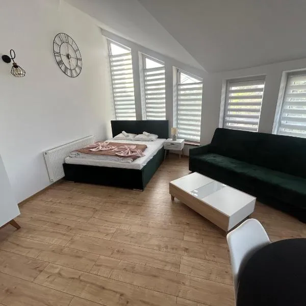 Apartamenty Aleja Ducha świętego Apartament 5, hotel v destinaci Mielec