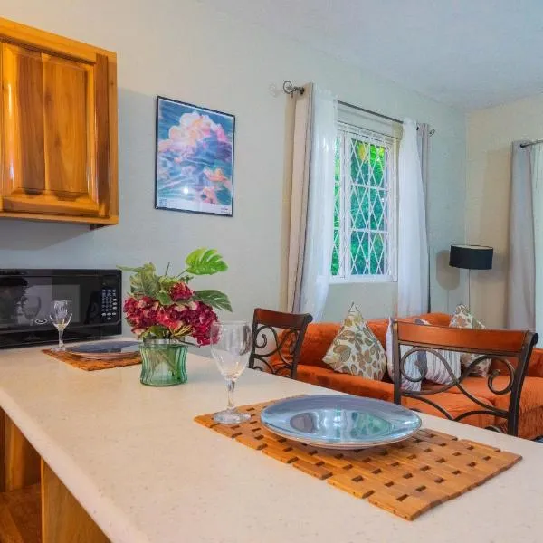 Musgrave AnneX- comfy 1 bedroom apartments, hotel in Kingston