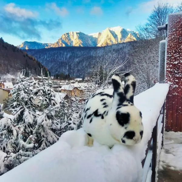 Doi Iepuri, hotel v destinaci Azuga