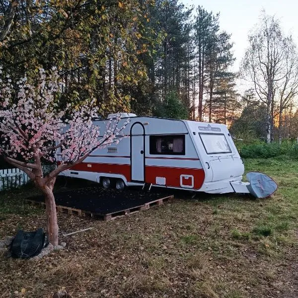 Santa's winter Caravan-Kabe Royal, hotel in Rovaniemi