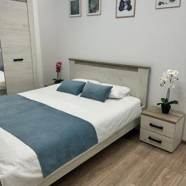 Mira Studio, hotel v destinaci Popeşti-Leordeni