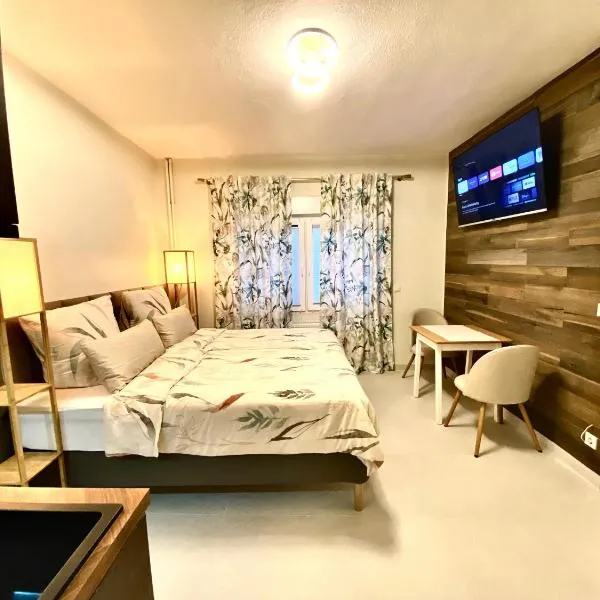 RIVER FRONT NEAR FRANKFURT-AIR CONDITIONER-Private PARKING, ξενοδοχείο σε Hainburg