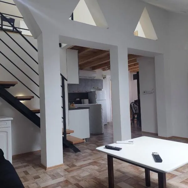 Duplex stan u Beogradu, hotel v Bělehradě
