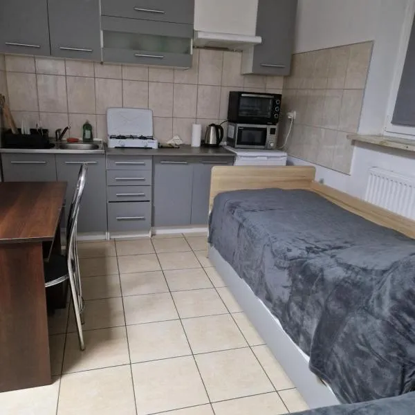 SAWAGO Mini Apartament studio 23m2 - samodzielnie zameldowanie, hotel v destinaci Ciechanów