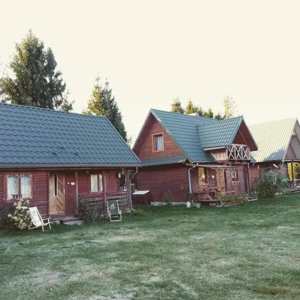 Przystanek Zaścianek- domki letniskowe, hotel v destinaci Susiec