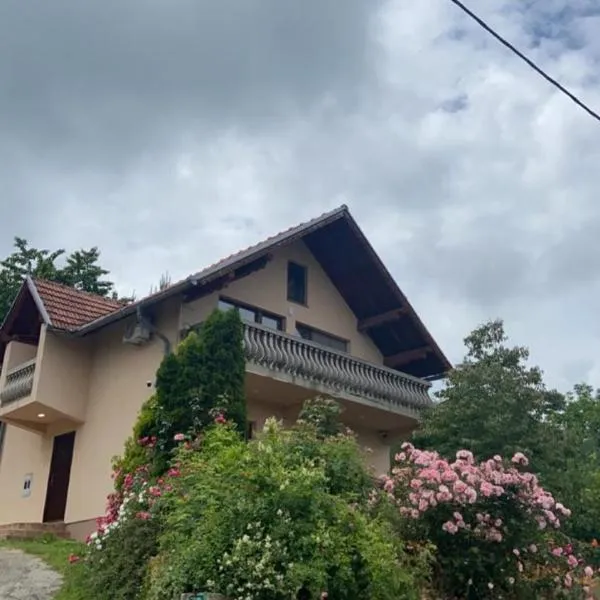 Villa Sara, hotel v destinaci Sarajevo
