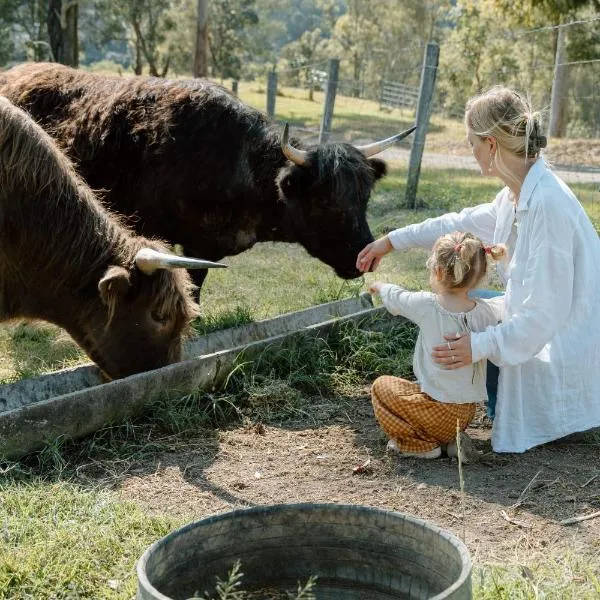 Family Fun On The Farm! Close to Kenilworth Stylish Feed Friendly Cows Breathtaking 360 Views، فندق في Obi Obi