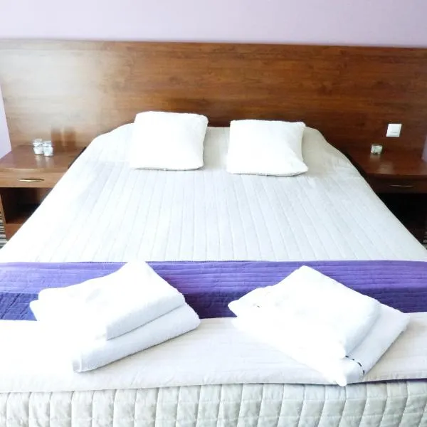 Hotel-Aramis, hotel in Skarżysko-Kamienna