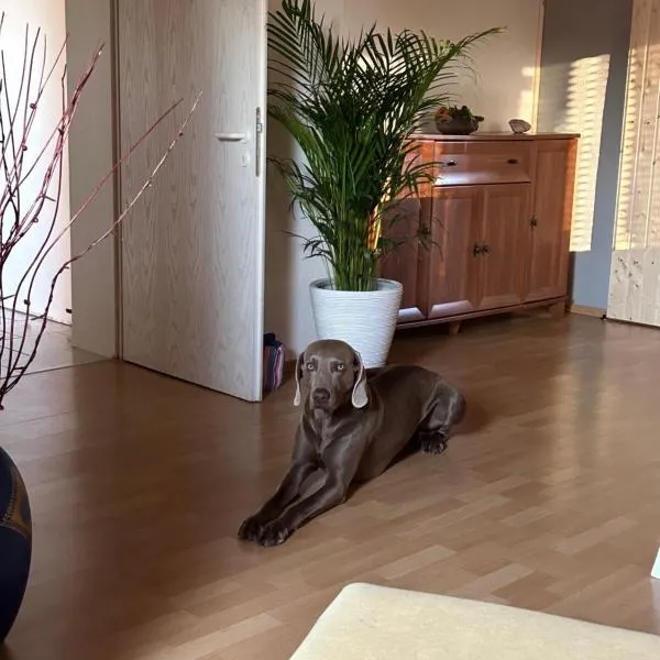 Ferienwohnung in der Schorfheide, hotel in Schorfheide