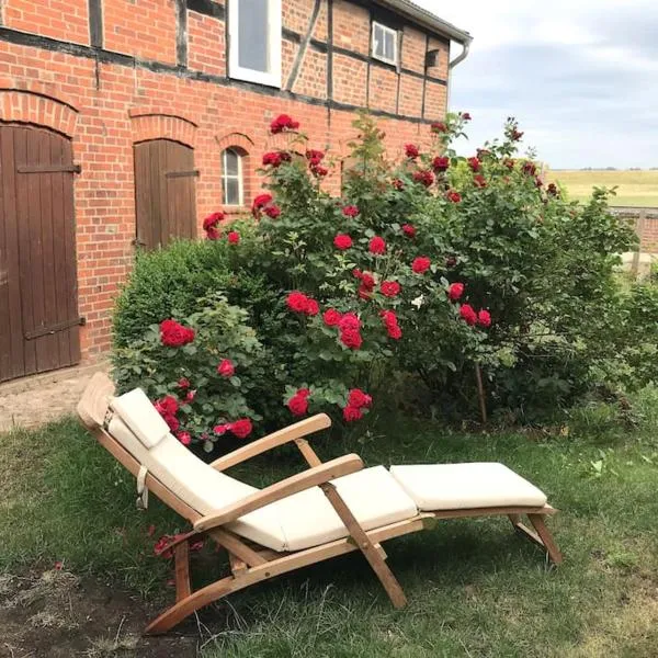 Fachwerk-Fischerhaus an Elbe und Aland, hotel in Schnackenburg