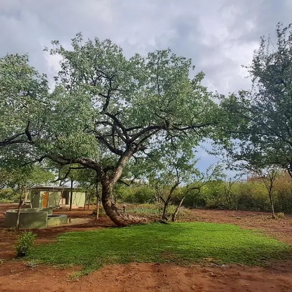ZuriCamp - Campsite Safiri, hotel v destinaci Tsumeb