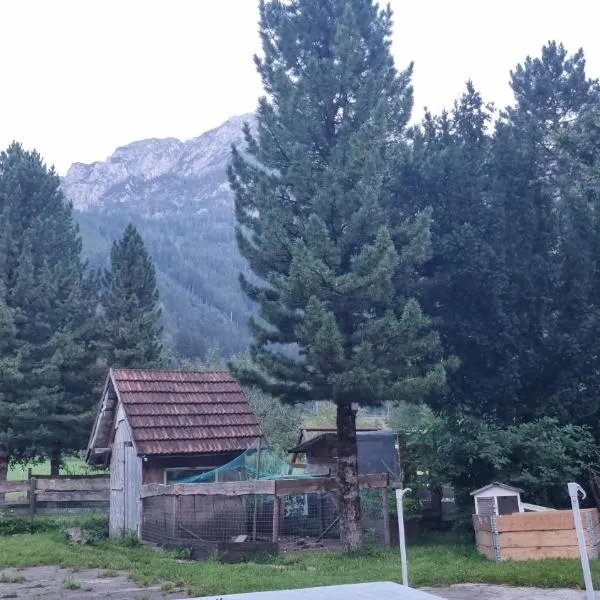 Gorshof, hotell sihtkohas Spital am Pyhrn