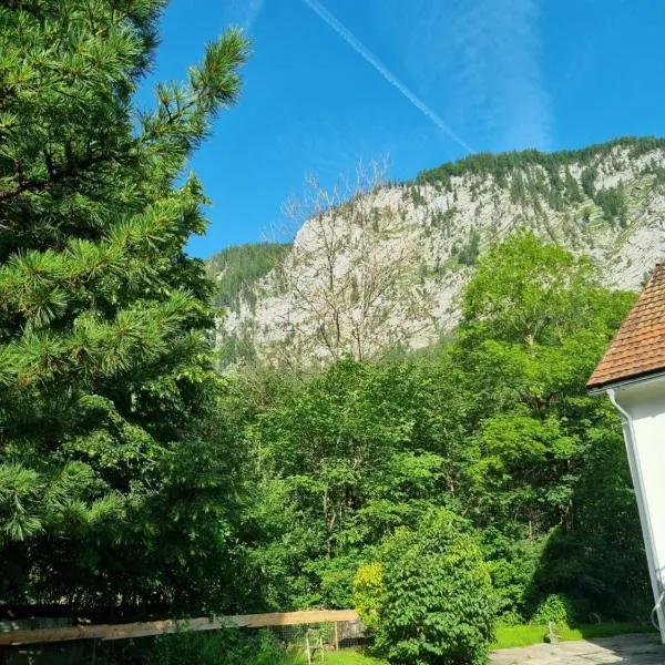 Gorshof, hotel v Spital am Pyhrnu