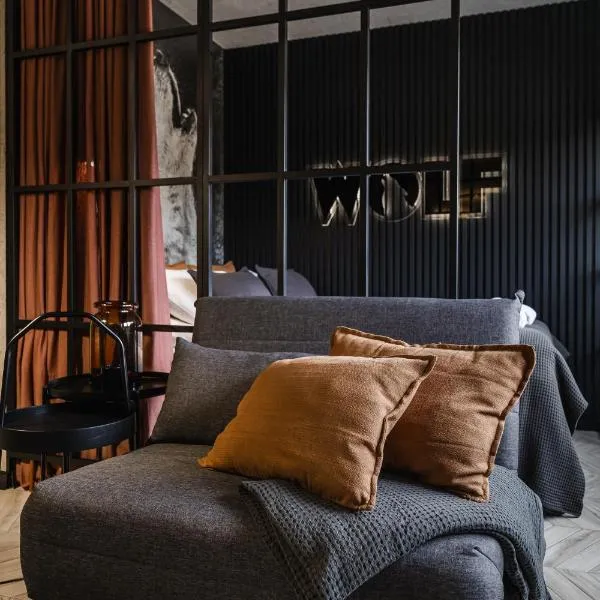 Apartament WOLF, hotel v destinaci Szczawnica