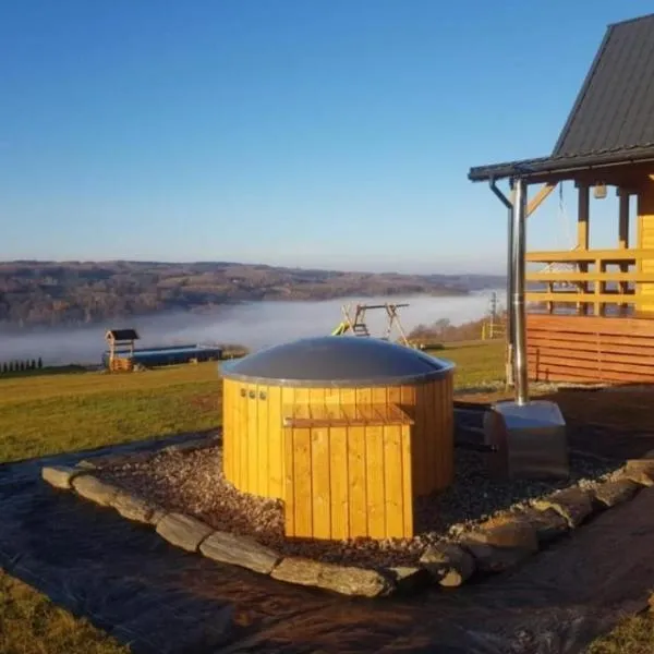 Domki całoroczne DŁUGOSZÓWKA pod Rzeszowem, Jacuzzi-Sauna-Basen-Alpaki, hotel in Zaborów