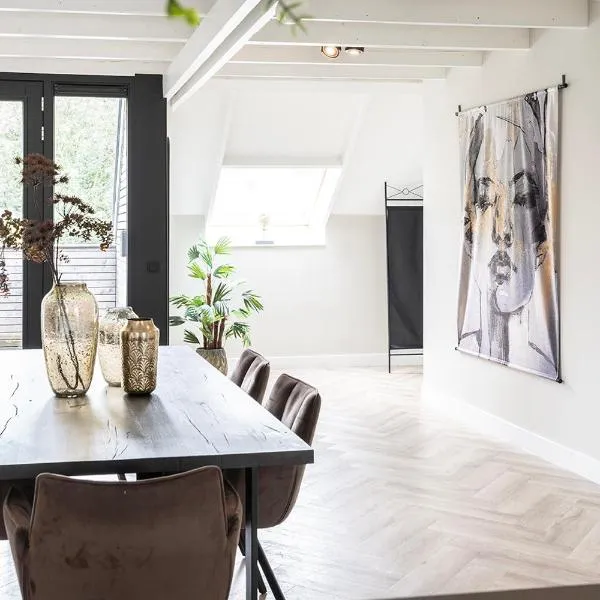Xxl Loft City Center Villa Tilburg Willem 2, hotel in Tilburg