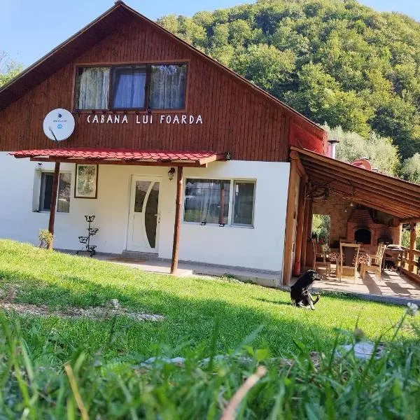 Cabana lui Foardă, hotel v destinaci Motru Sec
